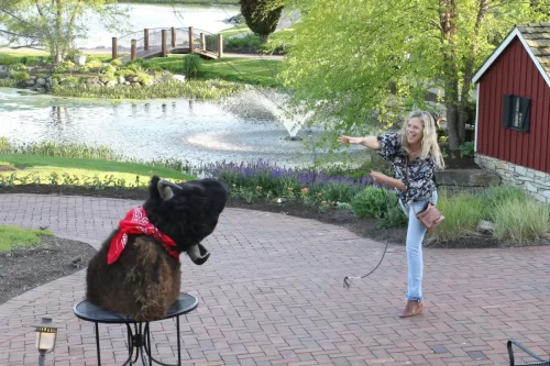 Lasso
