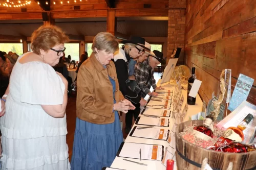 Silent Auction 2